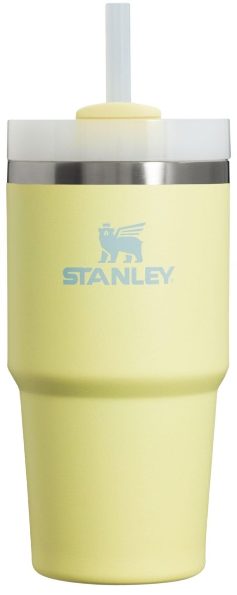 Stanley Quencher H2.0 Tumbler with Handle & Straw 40 oz | Twist On 3 - Way Lid | Cupholder Compatible for Travel | Insulated Stainless Steel Cup | BPA - Free | Ash - Custom Crafting Alliance, LLC