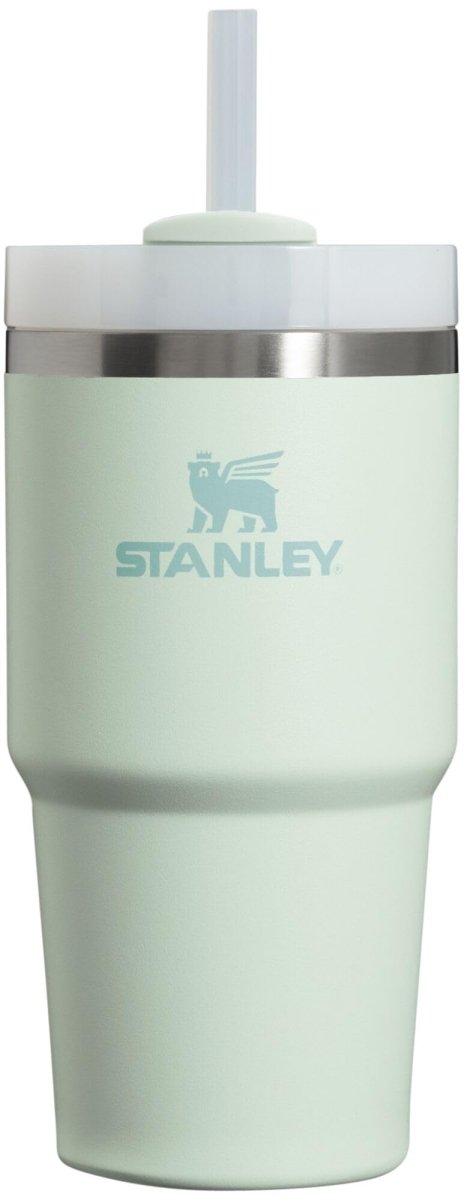 Stanley Quencher H2.0 Tumbler with Handle & Straw 40 oz | Twist On 3 - Way Lid | Cupholder Compatible for Travel | Insulated Stainless Steel Cup | BPA - Free | Ash - Custom Crafting Alliance, LLC