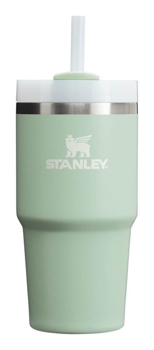 Stanley Quencher H2.0 Tumbler with Handle & Straw 40 oz | Twist On 3 - Way Lid | Cupholder Compatible for Travel | Insulated Stainless Steel Cup | BPA - Free | Ash - Custom Crafting Alliance, LLC