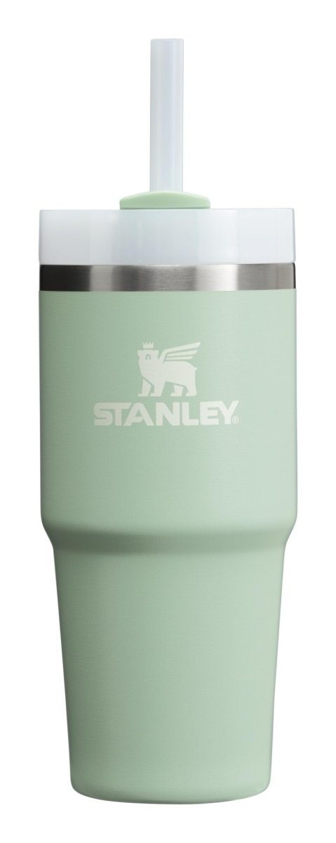 Stanley Quencher H2.0 Tumbler with Handle & Straw 40 oz | Twist On 3 - Way Lid | Cupholder Compatible for Travel | Insulated Stainless Steel Cup | BPA - Free | Ash - Custom Crafting Alliance, LLC