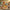 The Rise of Customization: Data-Driven Insights into the Personalized Gift Market - Custom Crafting Alliance, LLC