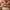 Valentine’s Day: A Celebration of Love - Custom Crafting Alliance, LLC