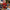 Stars, Stripes & Custom Delights – July 4th Collection - Custom Crafting Alliance, LLC