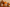 Thanksgiving and Fall - Custom Crafting Alliance, LLC