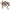 Transformers Generations Legacy Voyager - Select Figure(s)
