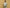 Essential Hoodie – Premium Fleece Loungewear