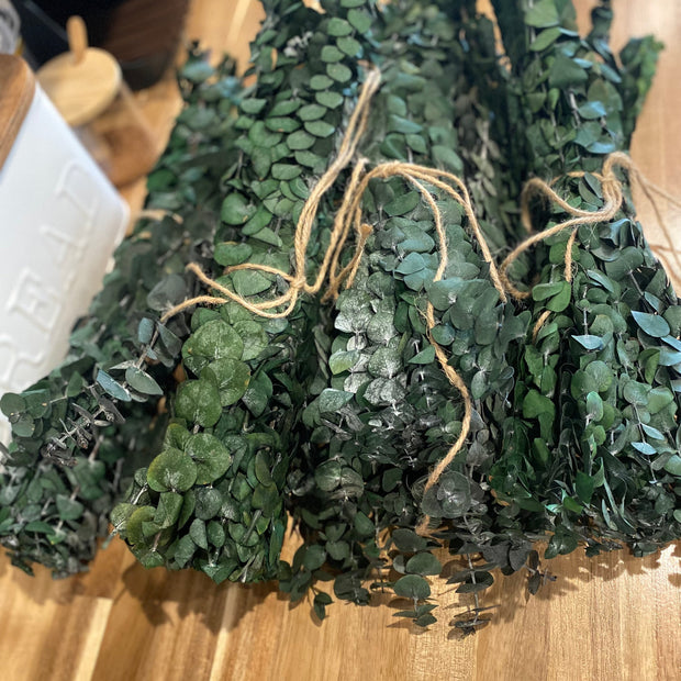 Onic Brands Hanging Eucalyptus