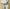 Essential Sweatpants –  Premium Fleece Joggers