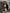 Women Ivy Lane Plush Open Front Dropped Shoulder Jacket