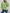 Flower Round Neck Latern Sleeve Sweater