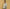 Essential Hoodie – Premium Fleece Loungewear