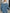 Removable Hood Button Up Long Sleeve Denim Jacket