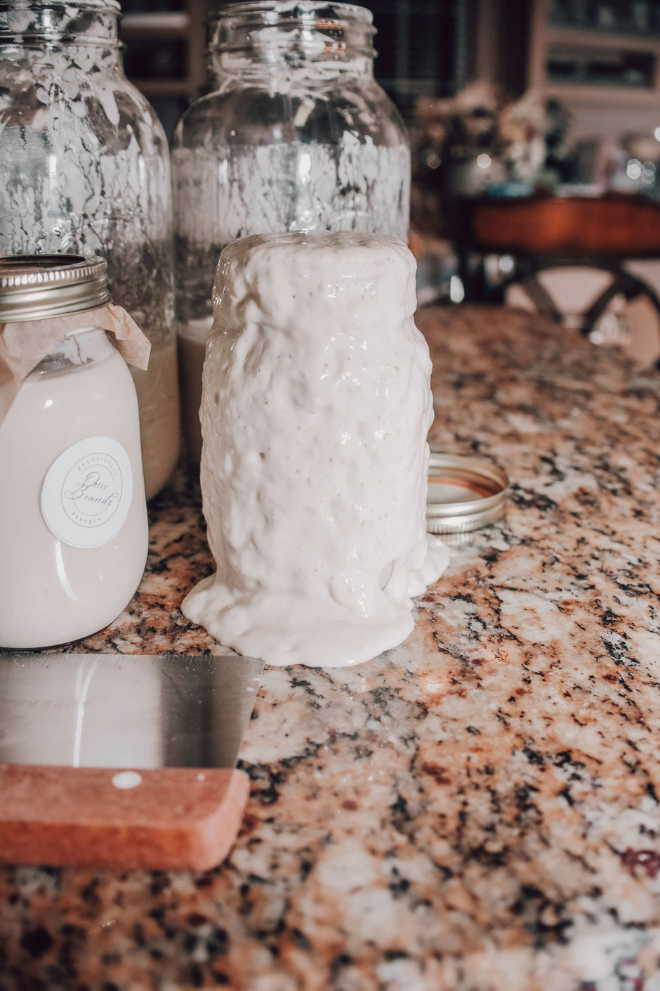 Onic Brands Sourdough Starter
