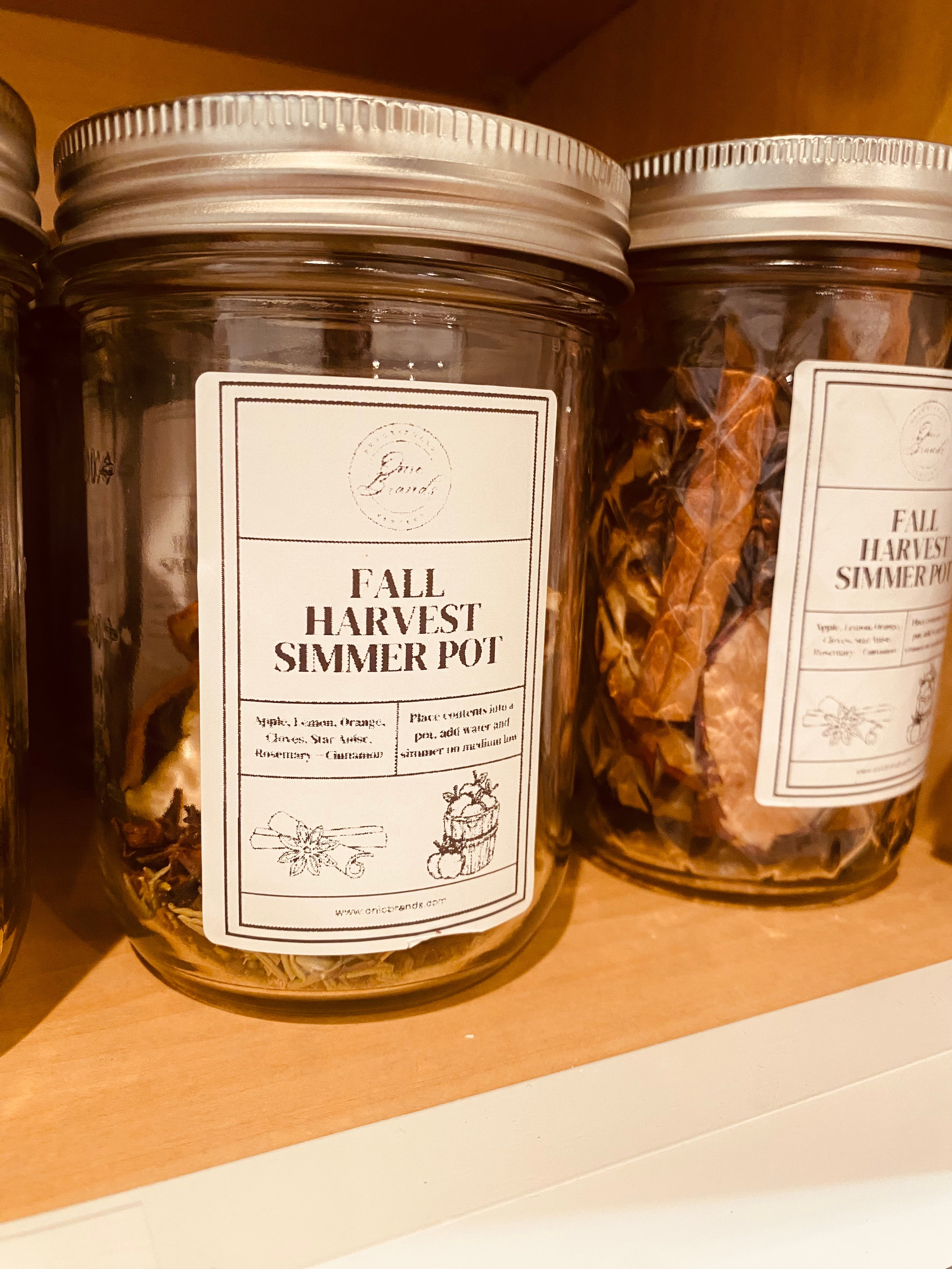 Onic Brands Fall Simmer Pot