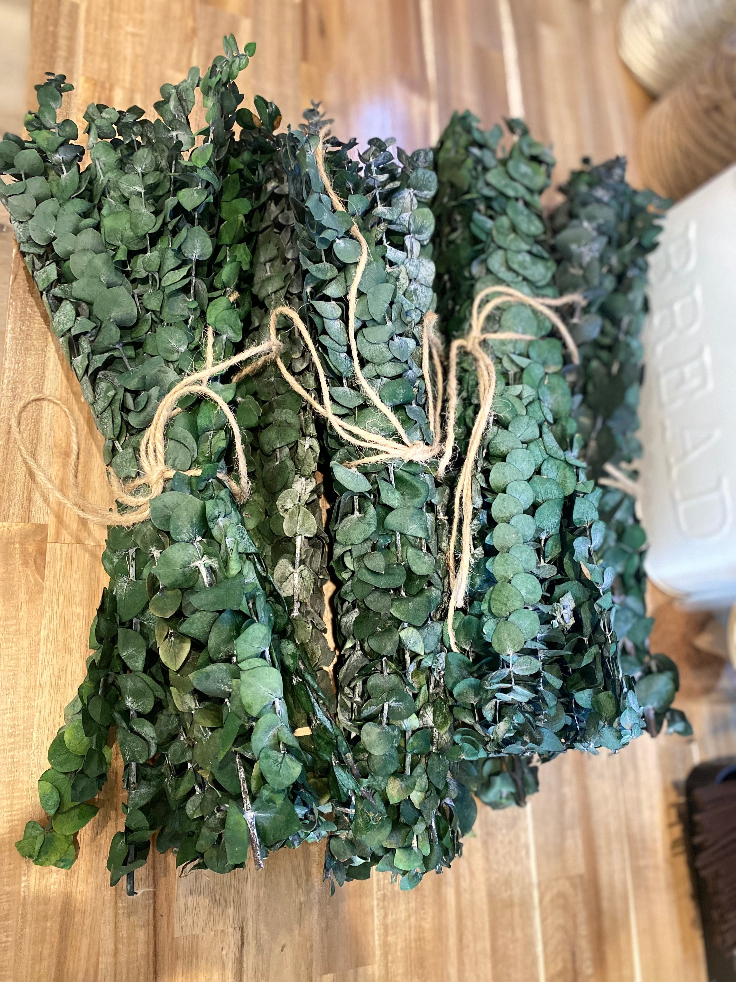 Onic Brands Hanging Eucalyptus