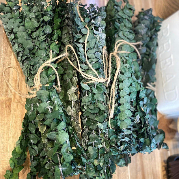 Onic Brands Hanging Eucalyptus