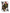Queen of Clubs - Wildland Firefighter / Combat Medic