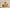 Desert Rose – Inspired by Fairmont Hotels