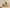 Desert Rose – Inspired by Fairmont Hotels