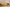 Desert Rose – Inspired by Fairmont Hotels
