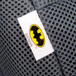 Batman 2-in-1 Harness Car Seat
