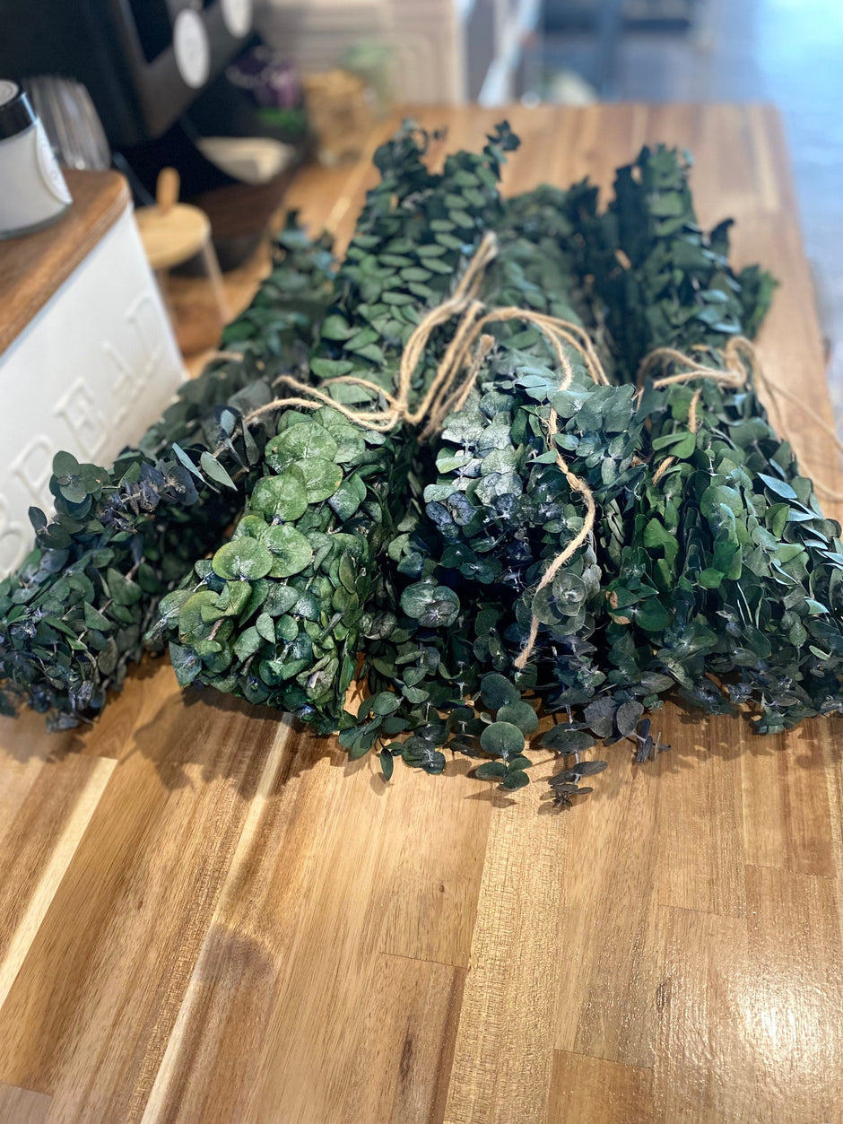 Onic Brands Hanging Eucalyptus