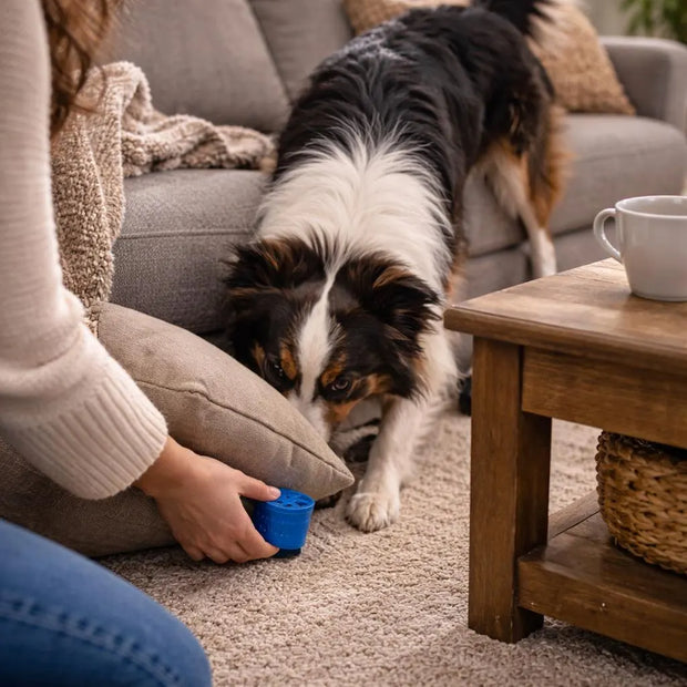 Dog Nose Work Pod, Ventilated K9 Detection Training Aid, 2 Inch Round x 1.5 Inch Tall