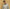Essential Hoodie – Premium Fleece Loungewear