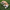 Dog Fetch Balls