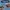 Premios Para Perros Fiesta Pack | Dog Treat Variety Bundle