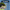 Premios Para Perros Fiesta Pack | Dog Treat Variety Bundle