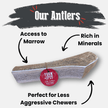 Elk Antler Dog Chews | All-Natural Whole and Split Elk Antler Chews for Dogs