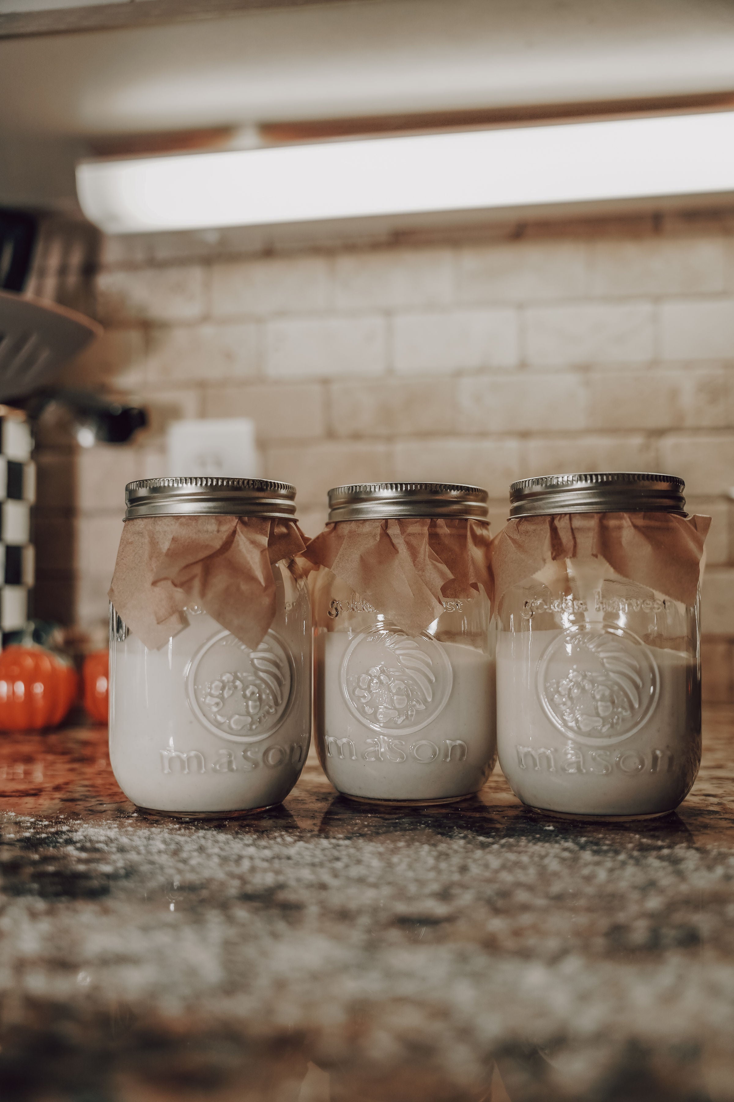 Onic Brands Sourdough Starter
