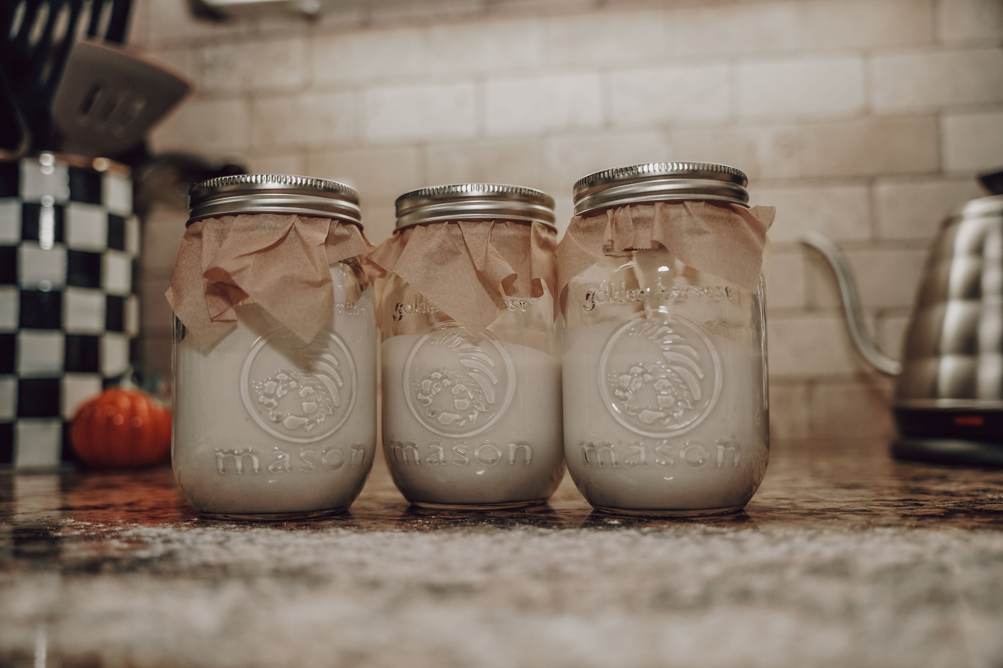 Onic Brands Sourdough Starter