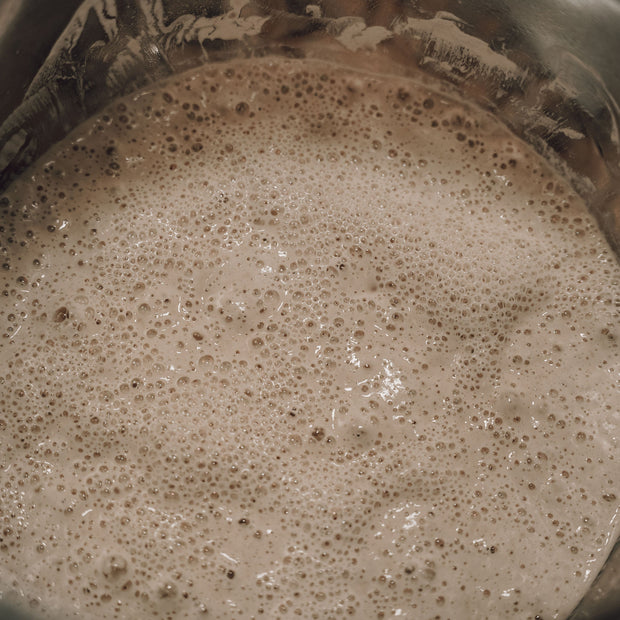 Onic Brands Dehydrated Sourdough Starter