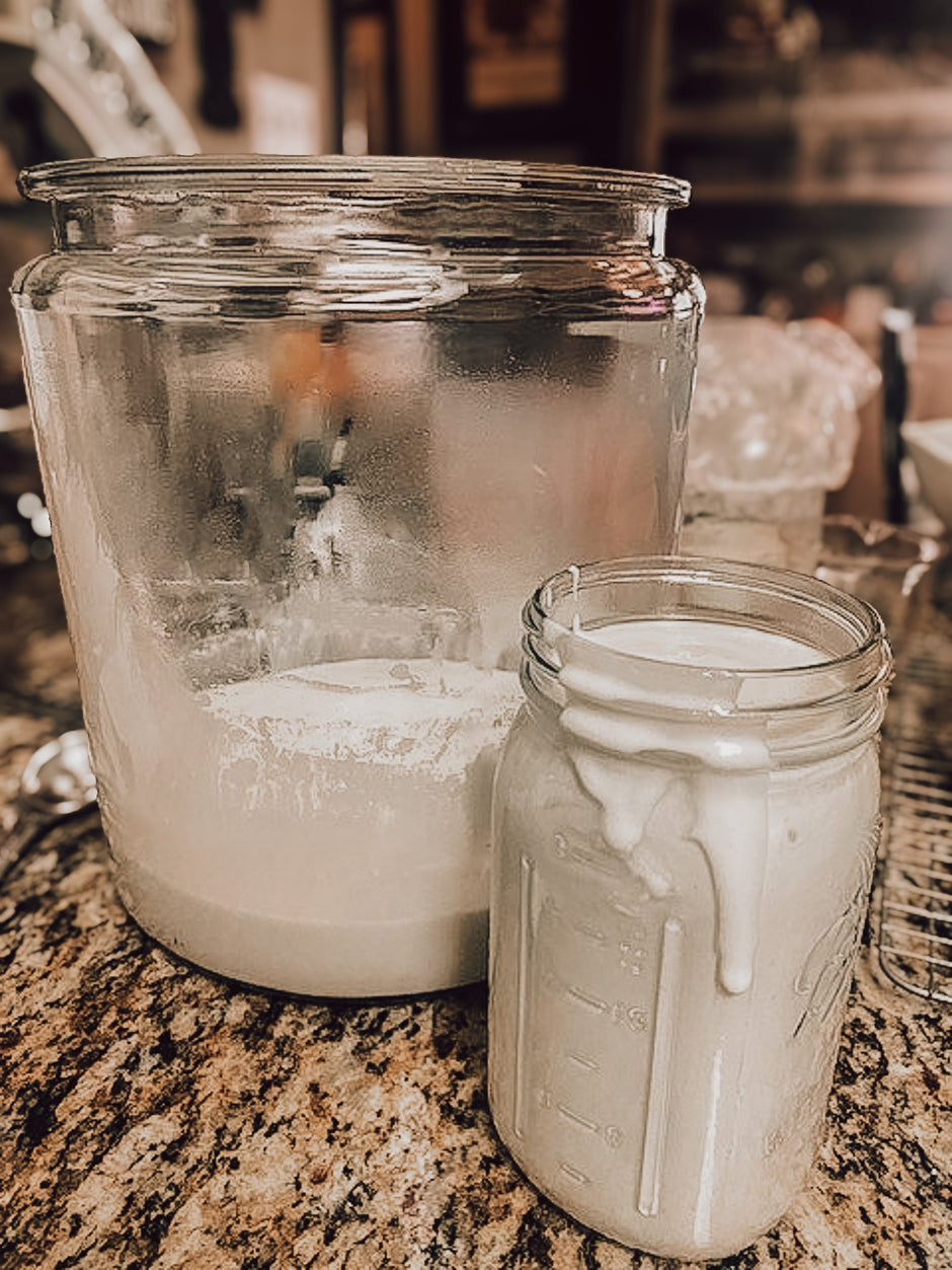 Onic Brands Sourdough Starter