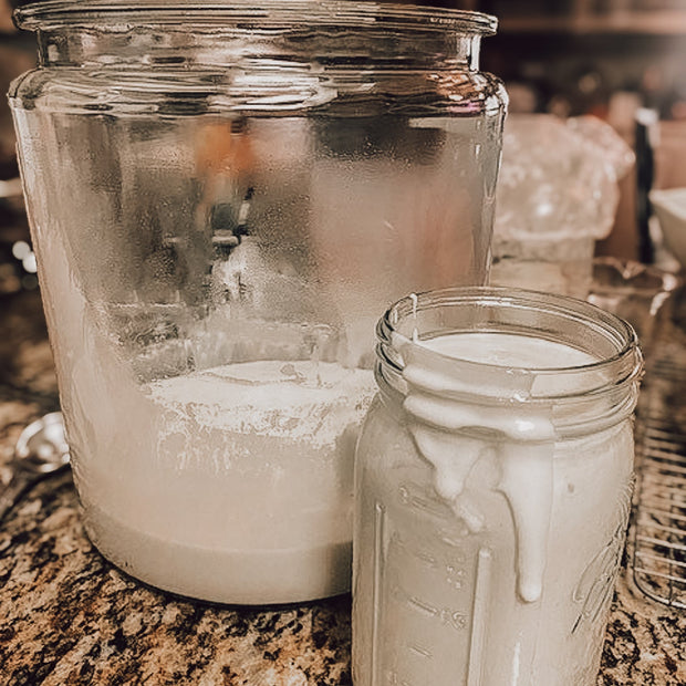 Onic Brands Sourdough Starter