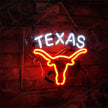 Texas Longhorn Neon Signs