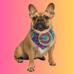 Vibrant Funky Hippie Bandana - The Essential Festival Gear for Ravers