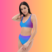 Vibrant Blue & Purple High-Waisted Bikini