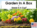 American Ash Tree Kit - Ultimate Seed Starter Kit for Gardening Success