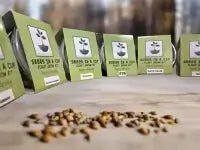 American Ash Tree Kit - Ultimate Seed Starter Kit for Gardening Success