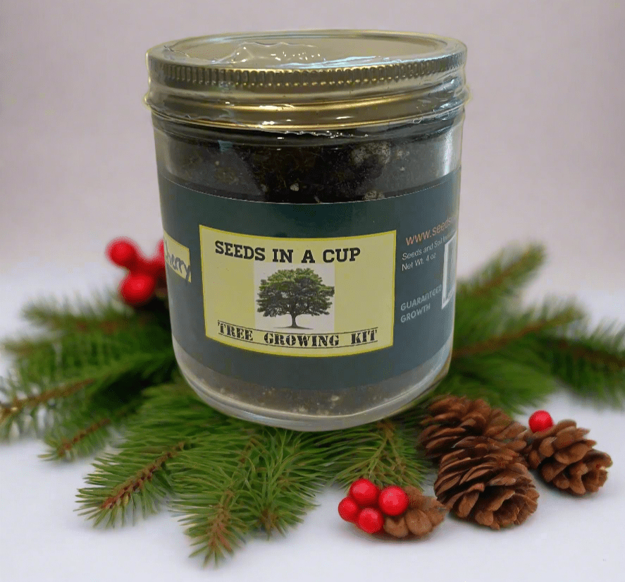 Apricot Tree Growing Kit - Complete Fruit Tree Seed Starter Kit for Home Gardeners