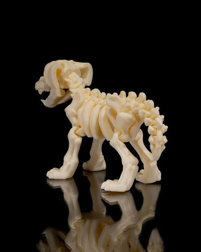 Articulated Flexi Skeleton Dog - Custom Crafting Alliance