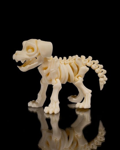 Articulated Flexi Skeleton Dog - Custom Crafting Alliance