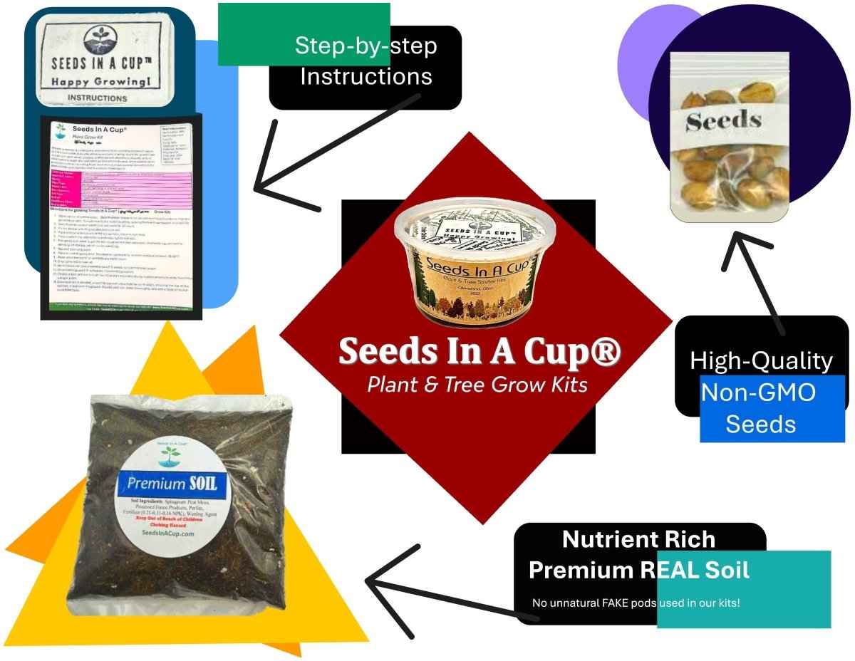 Seeds In A Cup® Original Tree Grow Kit - Learn How to Grow Apple Seeds at Home