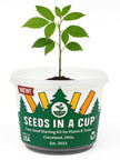 Oak Tree | Seed Starter Grow Kit | Seeds In A Cup®