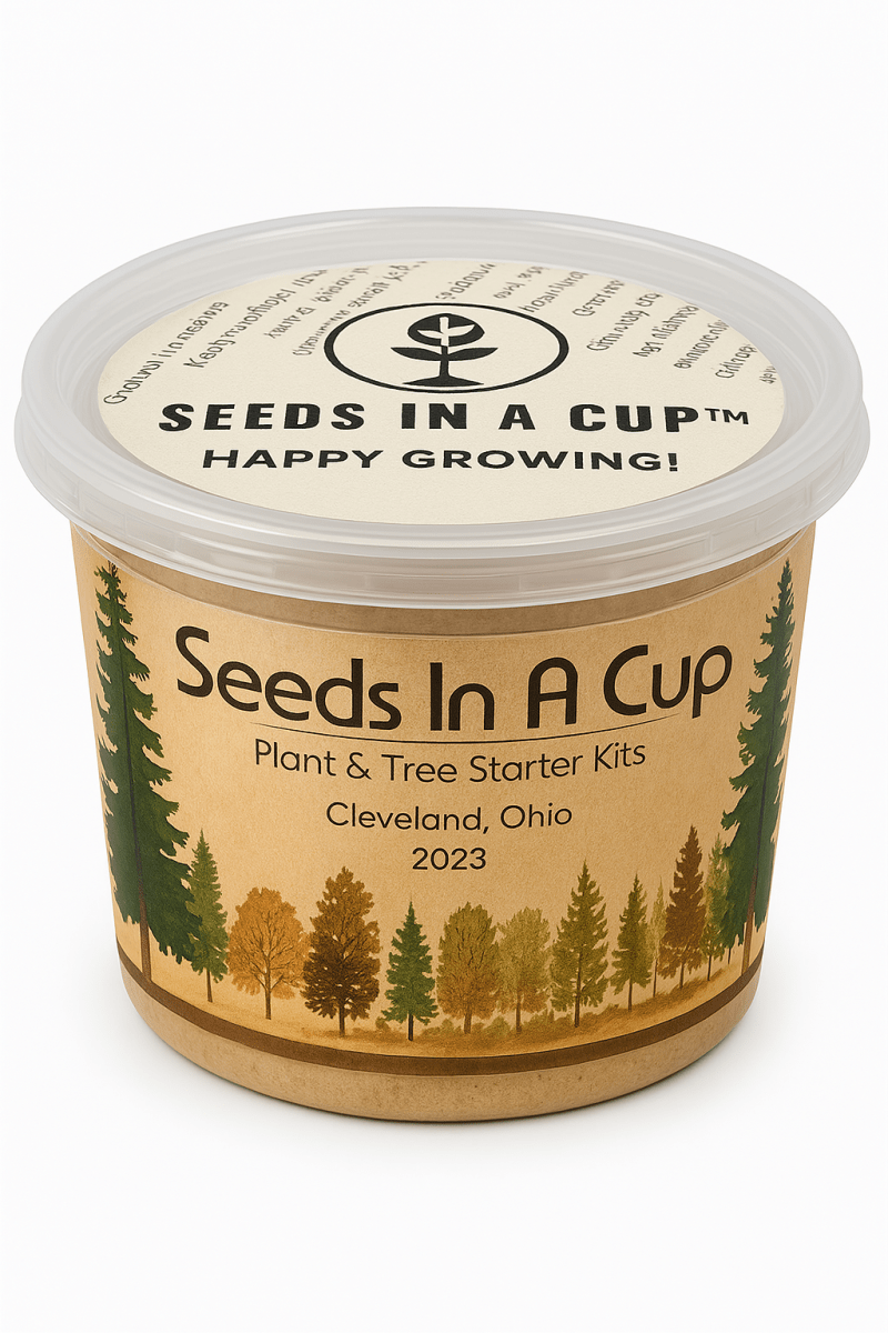 Dogwood Tree Growing Kit - Complete Seed Starter Kit for Your Garden
