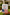 Custom Double - Sided Garden Flag with Full - Color Printing – 12x18 Inch Personalized Outdoor Yard Decoration with Free Flag Stand - Custom Crafting Alliance, LLC