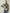 Contrast Round Neck Long Sleeve Sweater